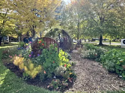 garden with lots of greenery