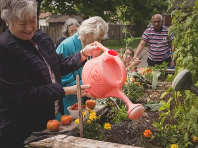 woman watering garden